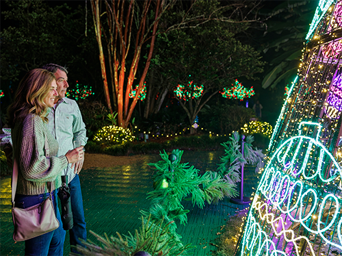 guests enjoying glass of prosecco and looking at holiday lights