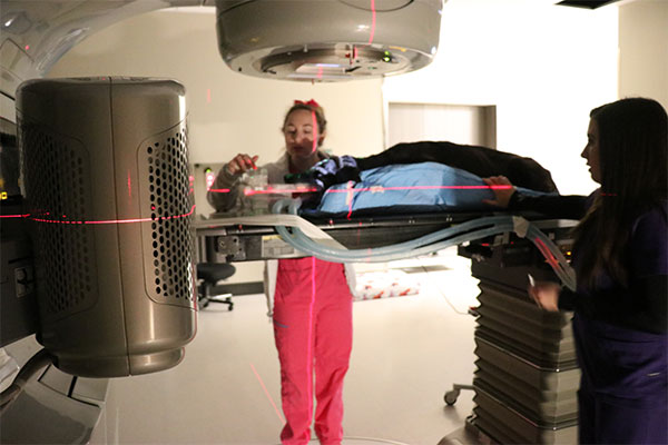 radiology treatment on a dog