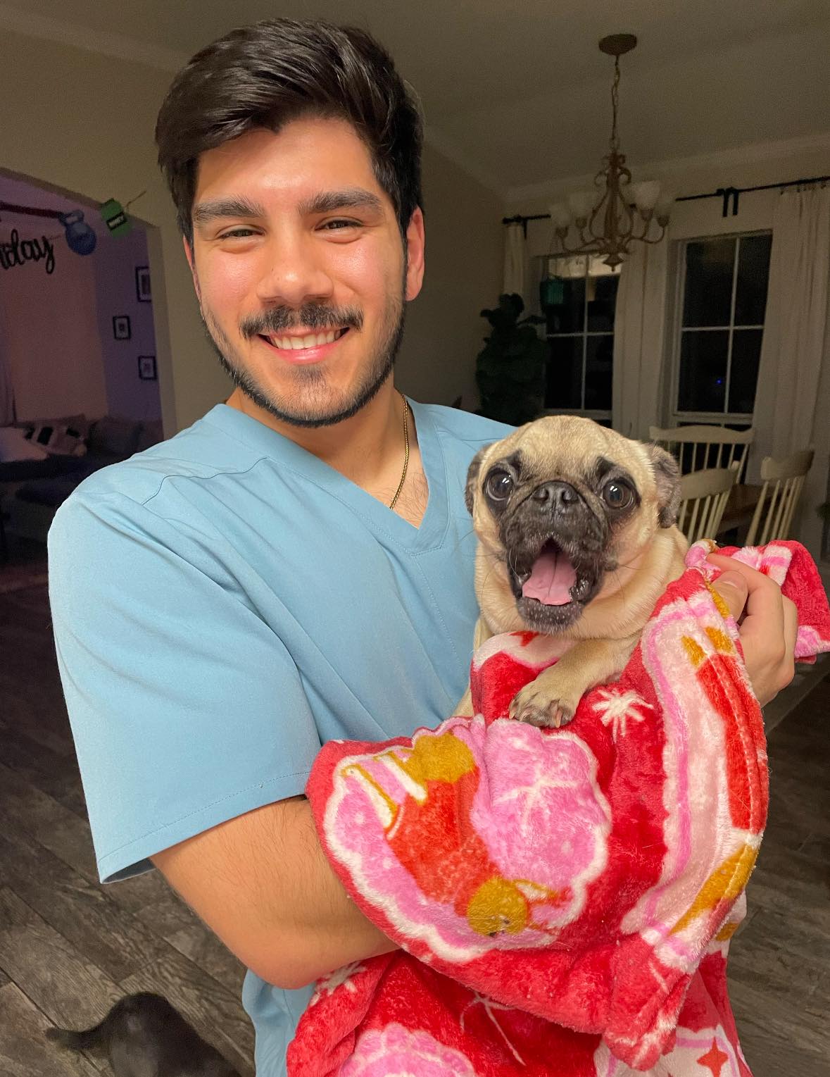 A veterinary student holding Bug Mushroom, a pug